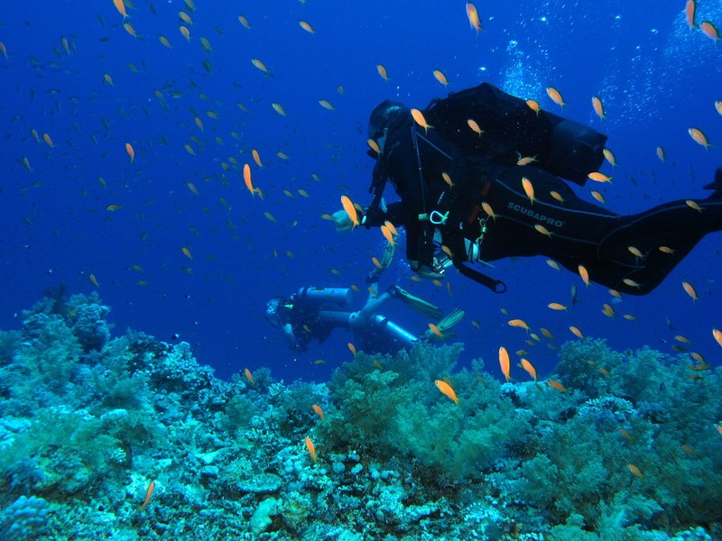 Dive Site Red Sea